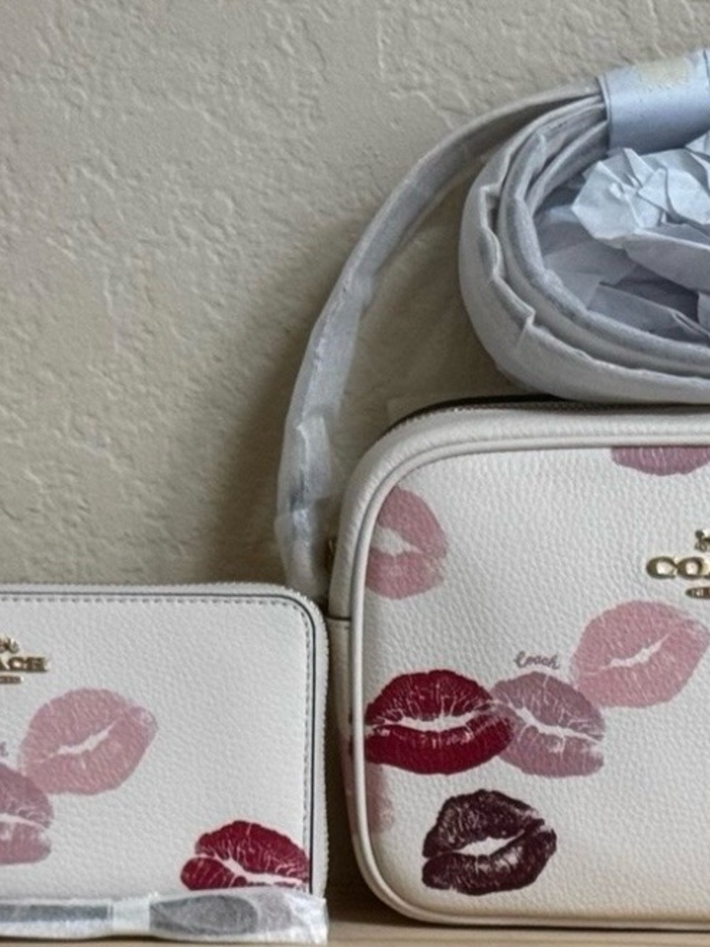 Coach Jamie Camera  Lip-Print Crossbody Bag and Wallet/wristlet Set
